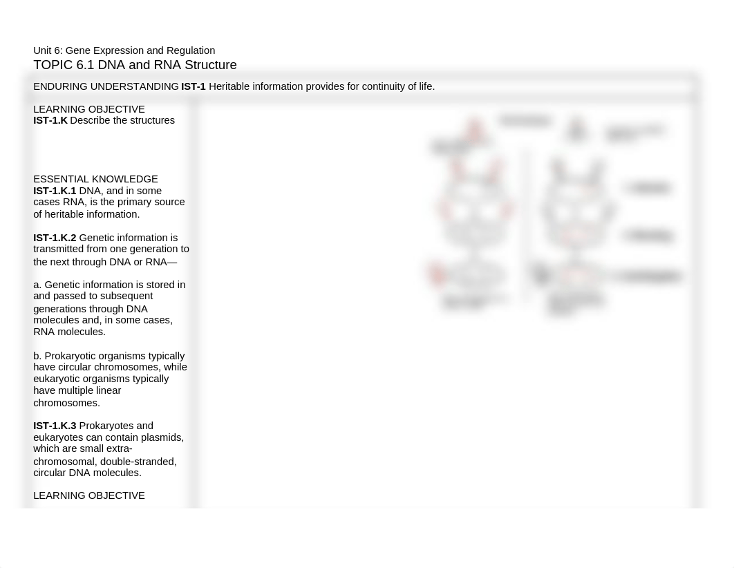 REVIEW -  Unit 6_ Gene Expression and Regulation.docx_d3flylj70dd_page1