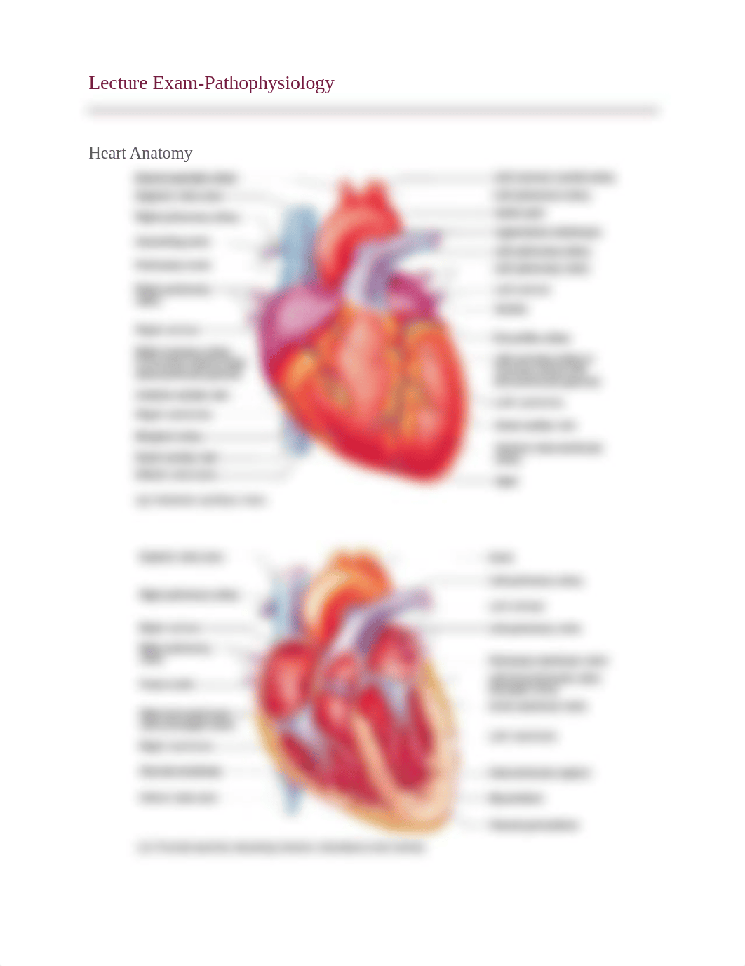 Lecture Exam study guide_d3fmjq1q40e_page1