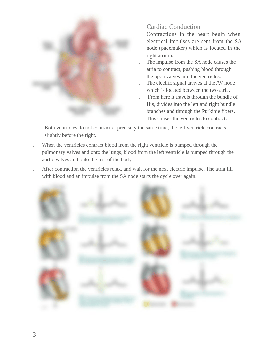 Lecture Exam study guide_d3fmjq1q40e_page3