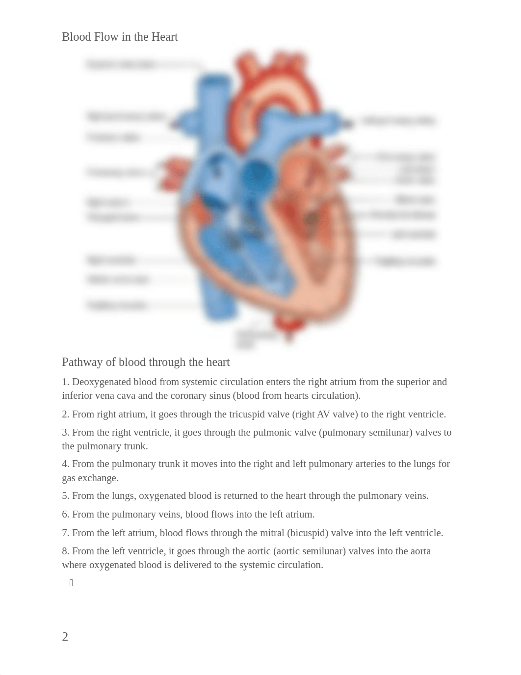 Lecture Exam study guide_d3fmjq1q40e_page2