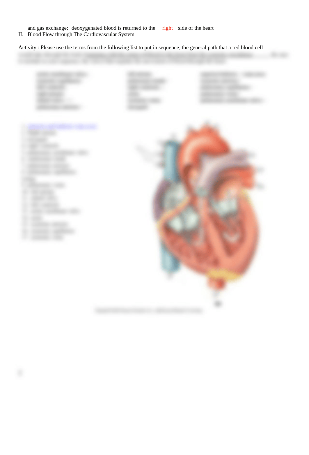 Lab 3 Online Gross Anatomy of the Heart and Circulation .docx_d3fvbffbjha_page2