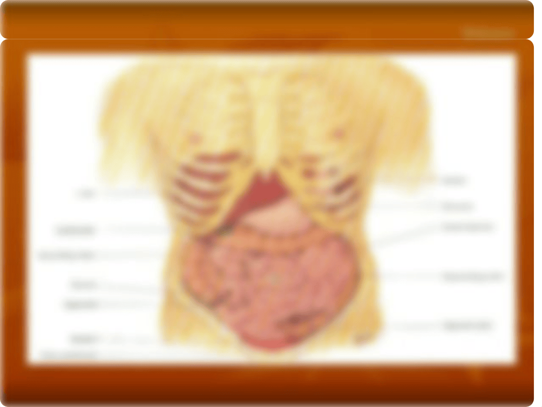 Examen FÃ_sico de Abdomen revisado (2).ppt_d3fxq49c1va_page5