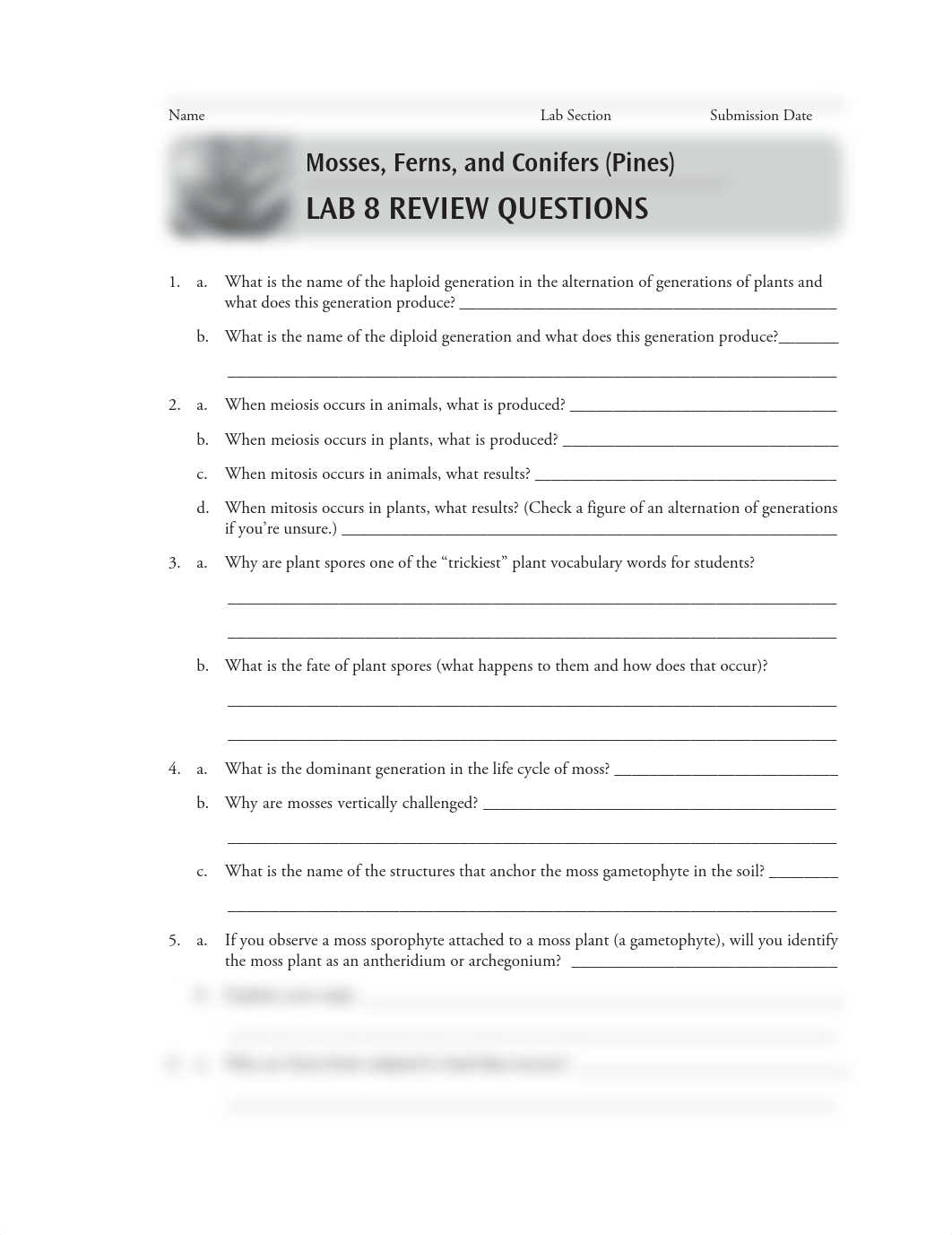 Lab 8 review questions.pdf_d3g2qlaigxd_page1