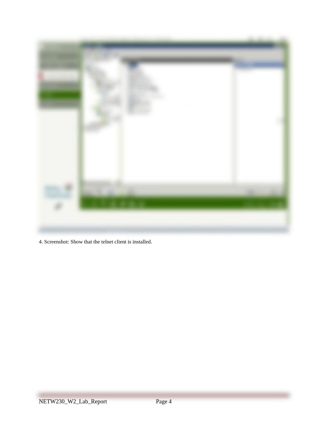 NETW230_W2_Lab_Report_d3gad4g3ggi_page4