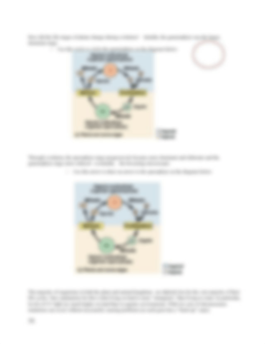 Lab 8-Plant Diversity Bio 120 online 2020 .docx_d3ge2088x6b_page3