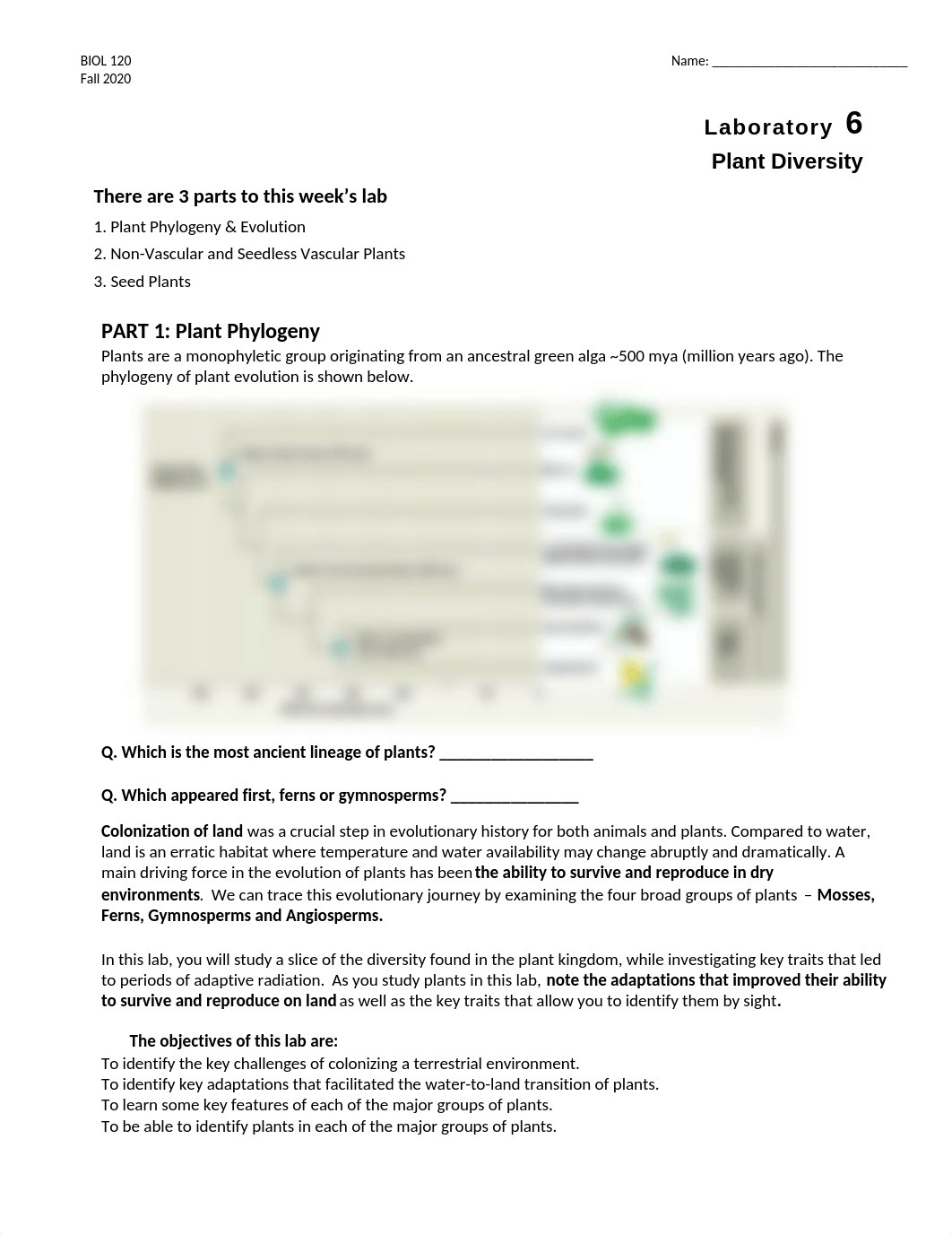 Lab 8-Plant Diversity Bio 120 online 2020 .docx_d3ge2088x6b_page1