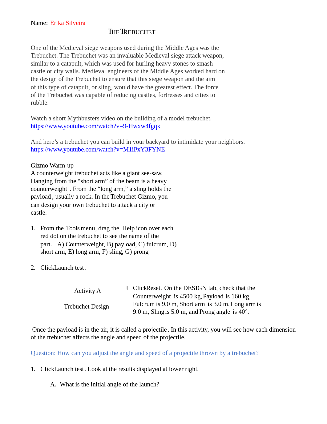 Trebuchet week 8.docx_d3gicn0upwn_page1