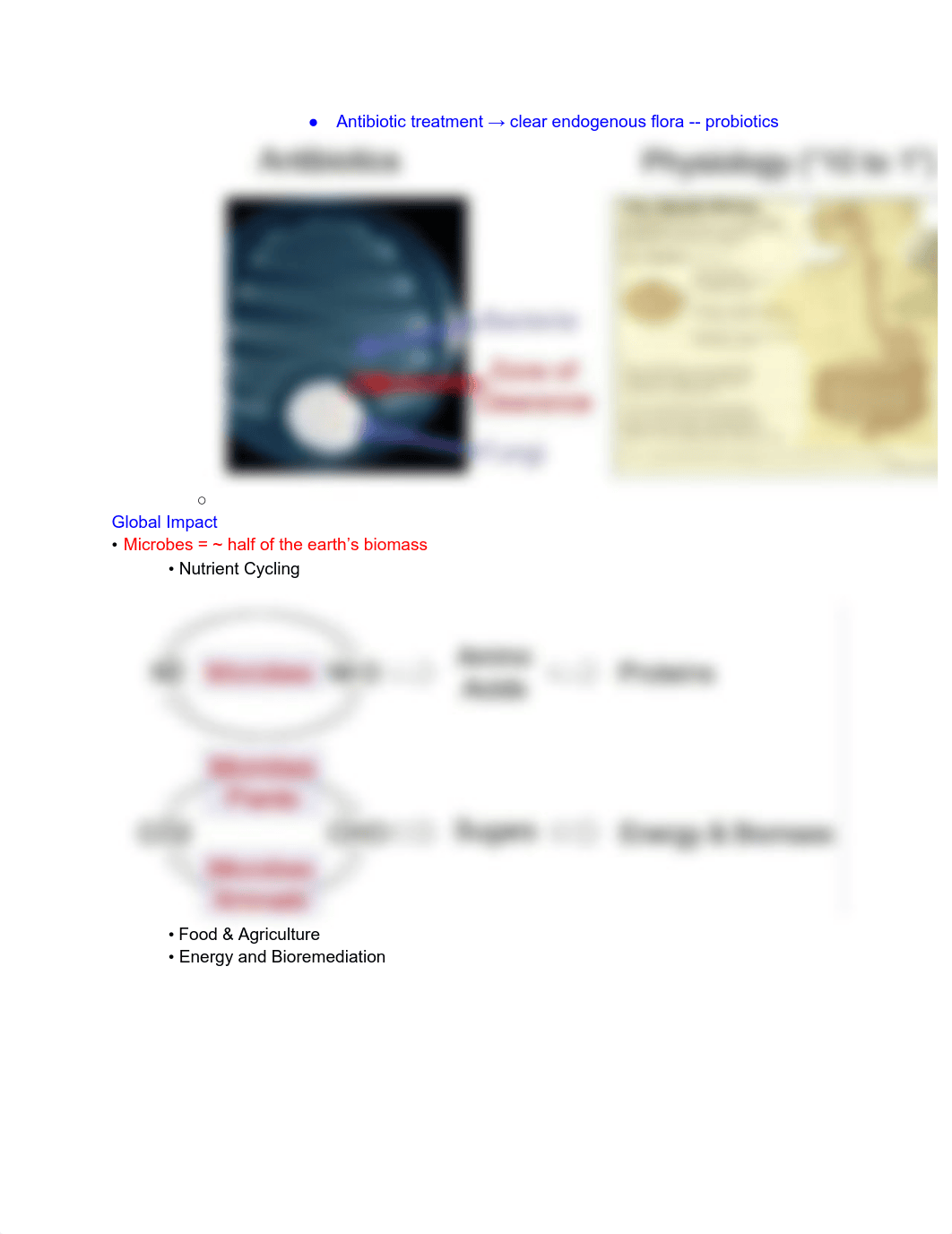 MIMG 101 Notes.pdf_d3gl0en72jj_page3