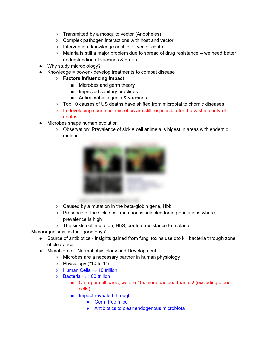 MIMG 101 Notes.pdf_d3gl0en72jj_page2