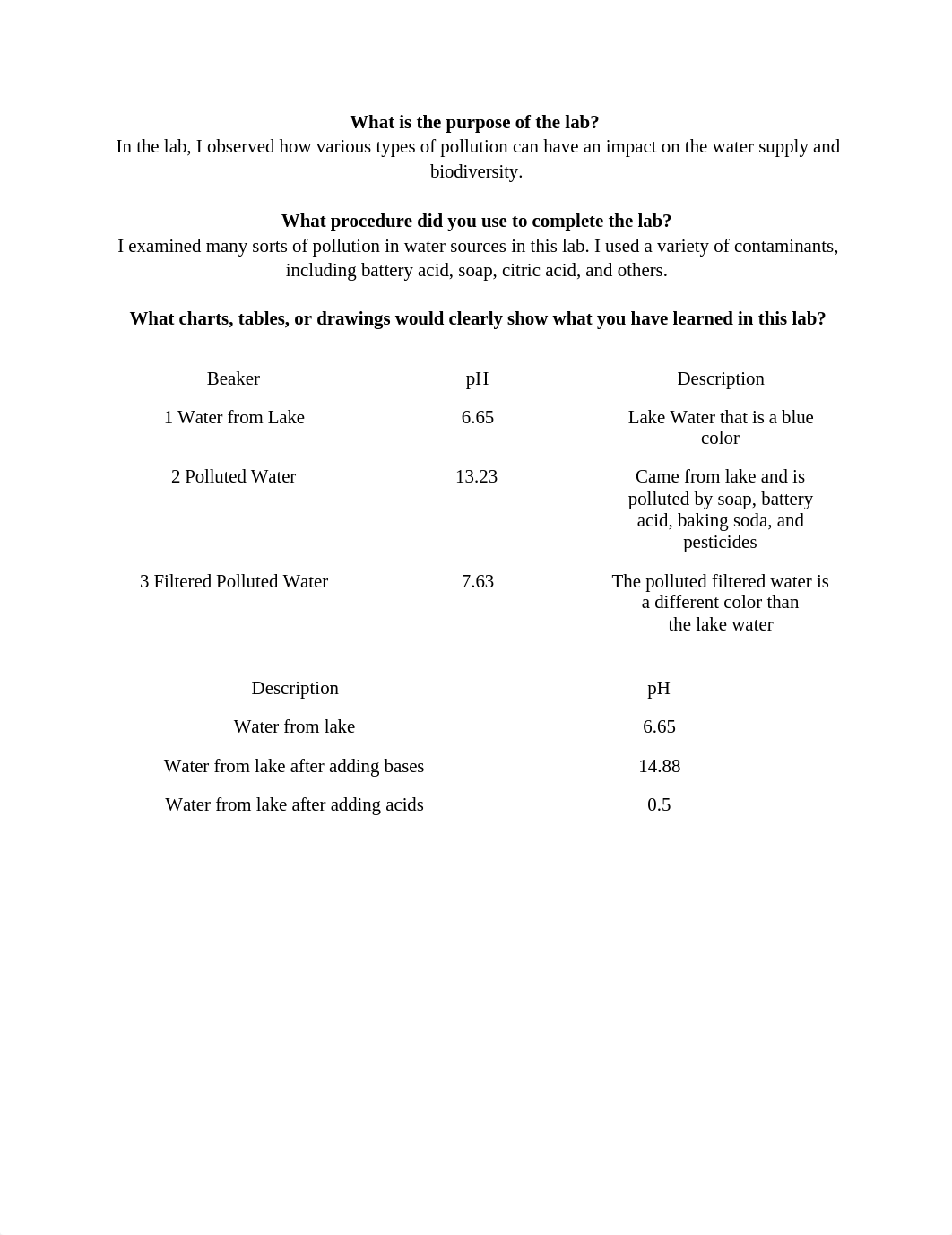 What is the purpose of the lab.docx_d3gpha8qrws_page1