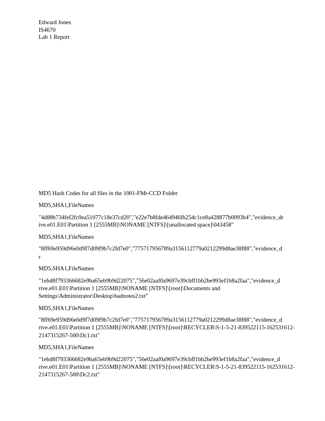 IS4670 Lab 1 Report_d3gwp5bnix8_page3