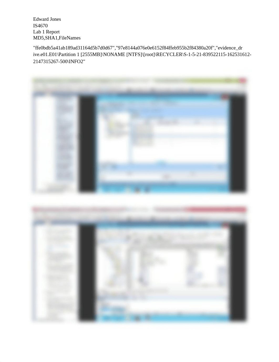 IS4670 Lab 1 Report_d3gwp5bnix8_page4