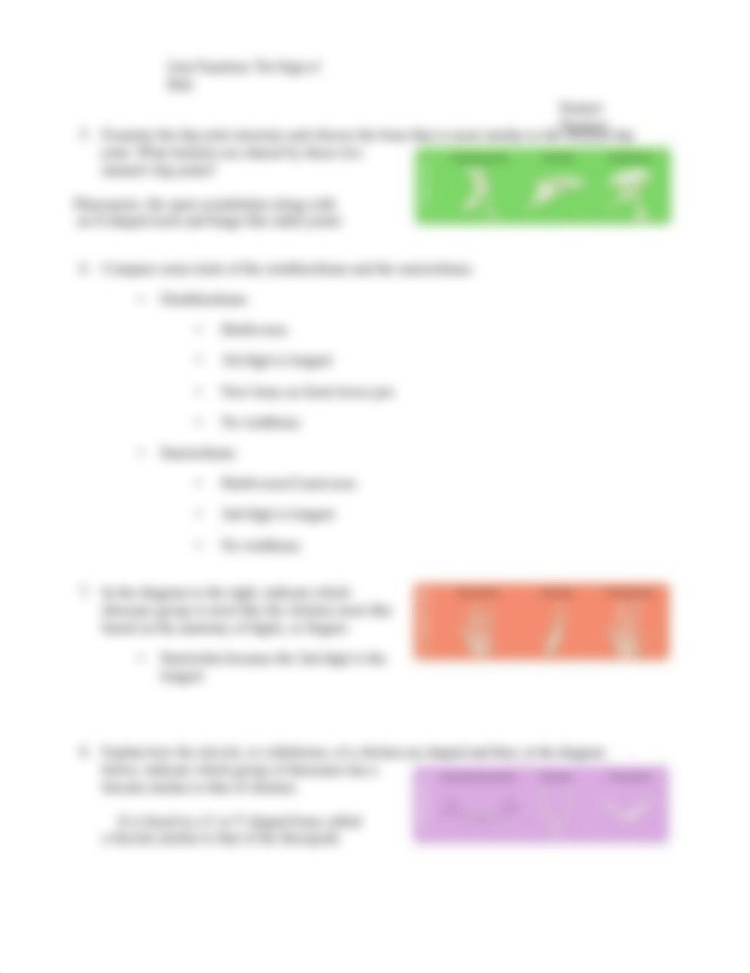 Lab 8 Comparative Anatomy of a Chicken Worksheet.docx_d3gza9oqdaw_page2