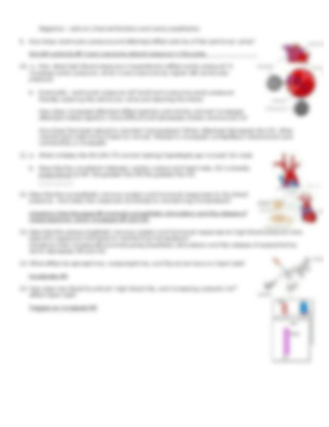 Cardiac output.doc_d3h1jmowb9u_page2