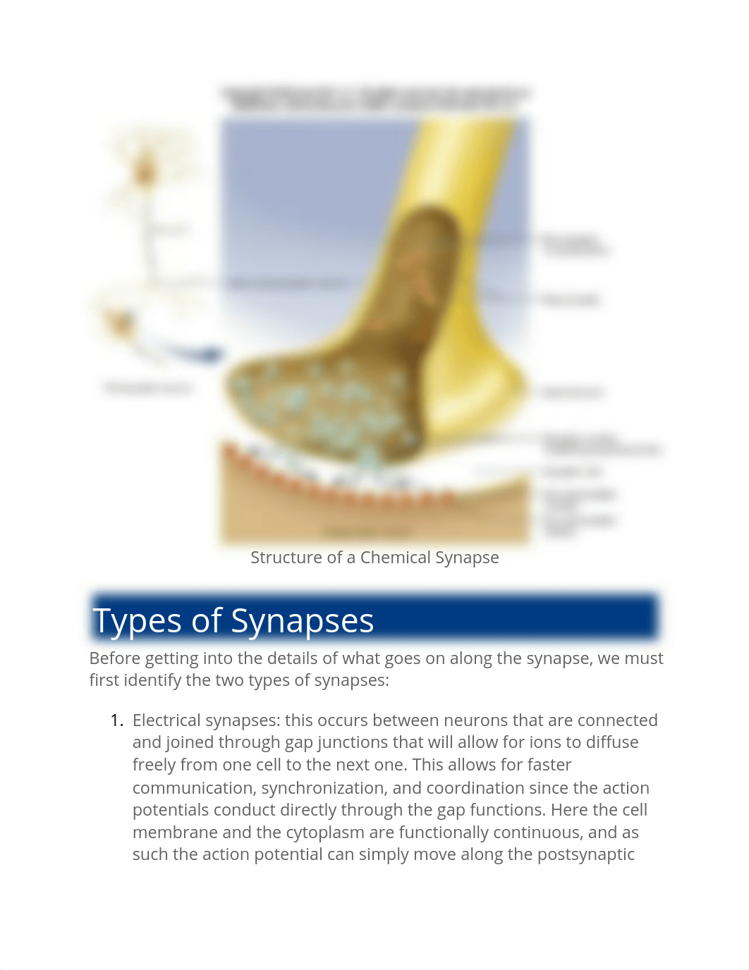 NR 283 - Edapt Unit 3 Synapses.docx_d3h3v9xa6p4_page2