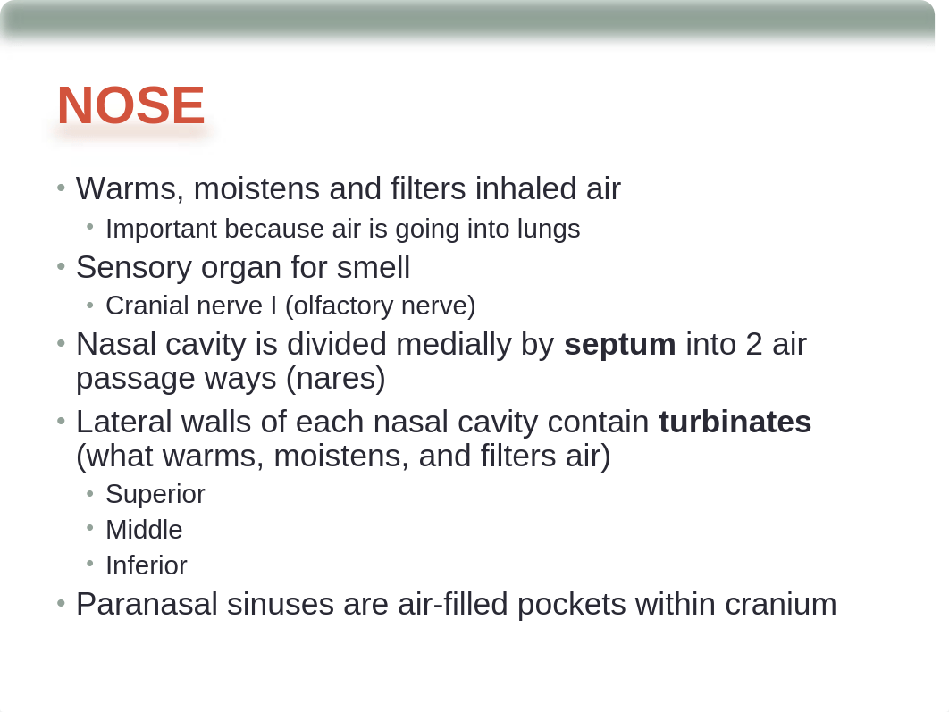 wk5 CH 16 - Nose Mouth Throat -  Student.ppt_d3hasl9zyj1_page2