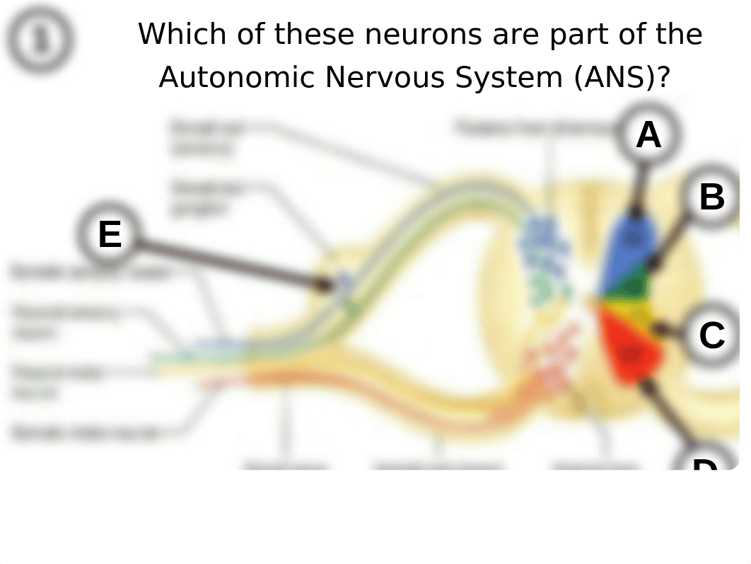 exam 3 powerpoint 06.ppt_d3hbdhkbwrg_page1