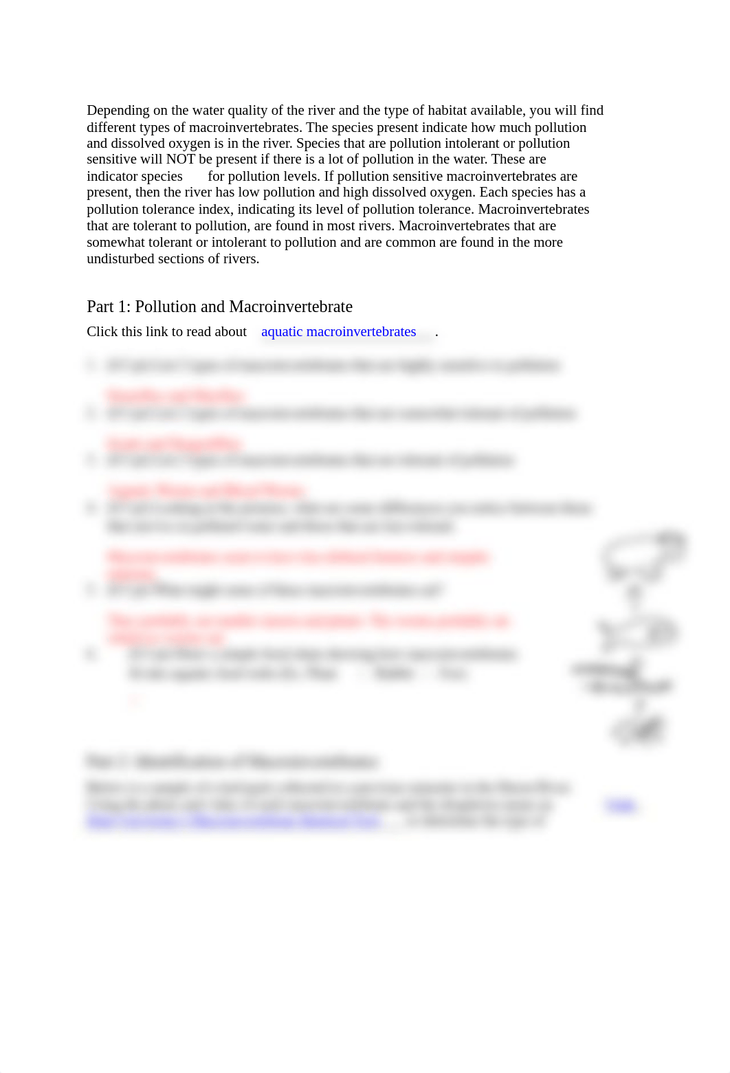 Aquatic Macroinvertebrate Lab (DL) (W21).docx_d3hgkovmf5q_page2