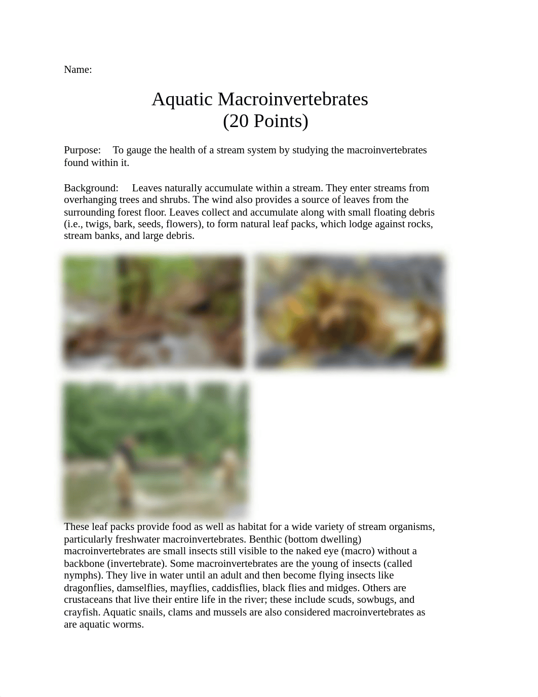 Aquatic Macroinvertebrate Lab (DL) (W21).docx_d3hgkovmf5q_page1