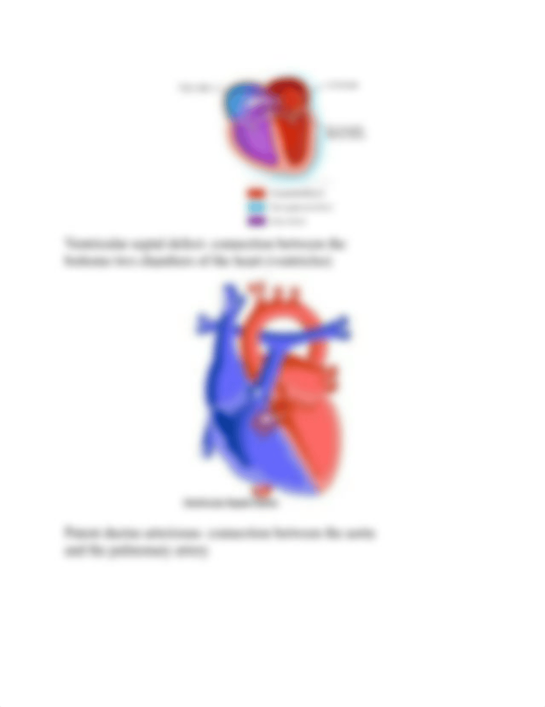 Pediatric Cardiac Disorders 2020.docx_d3hi6ywbv8g_page5