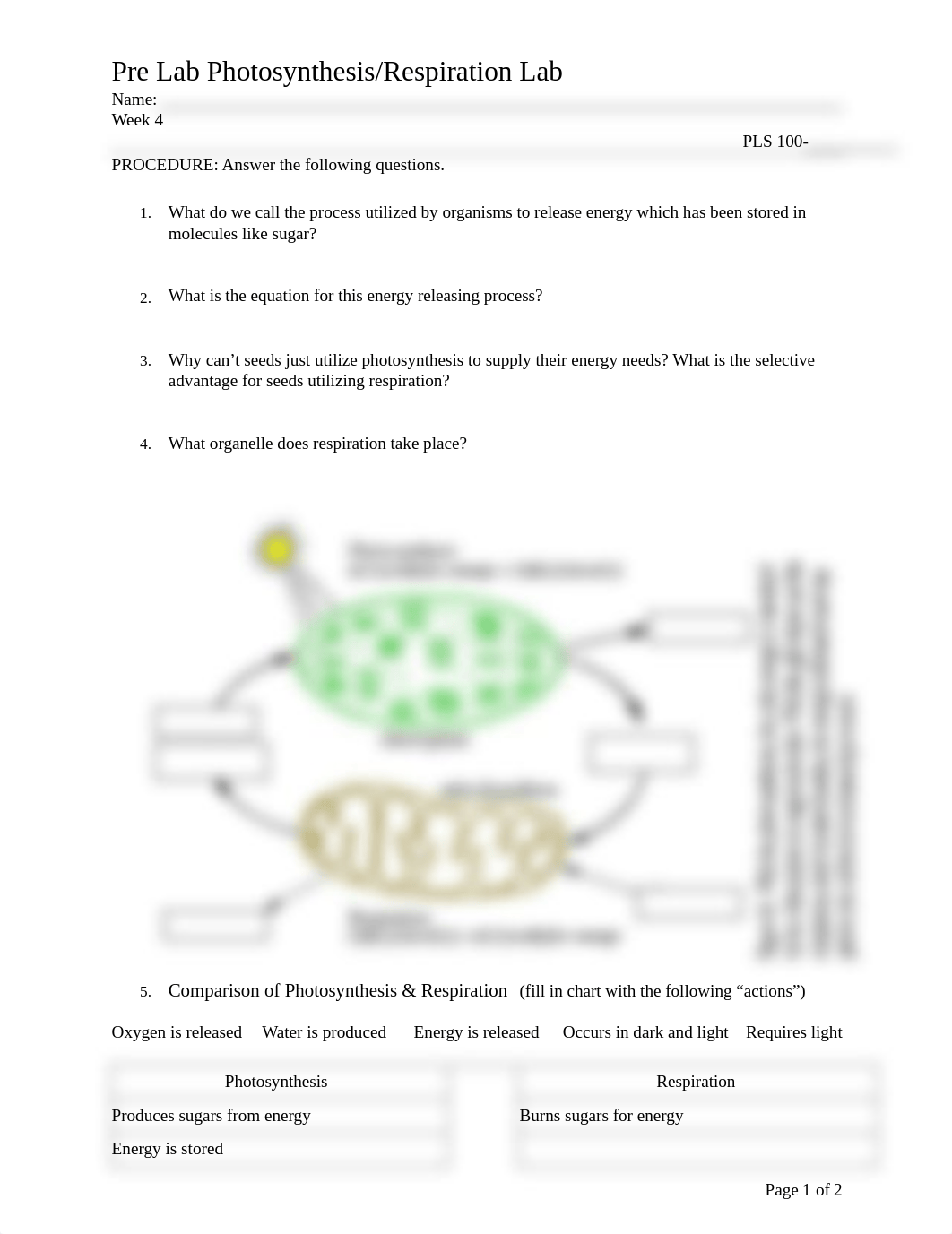 Pre Lab Photosynthesis and Respiration Fillable.pdf_d3hkawcqvax_page1