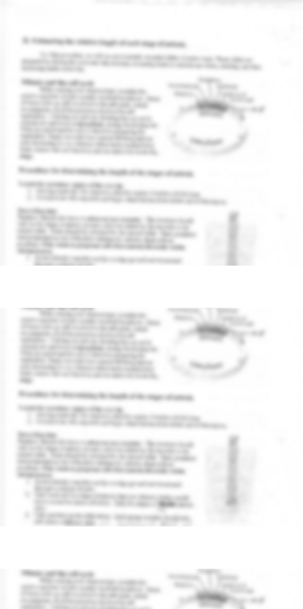 Mitosis_in_Onion_root_tip_cells_llab (1).pdf_d3hn4grh3gz_page2