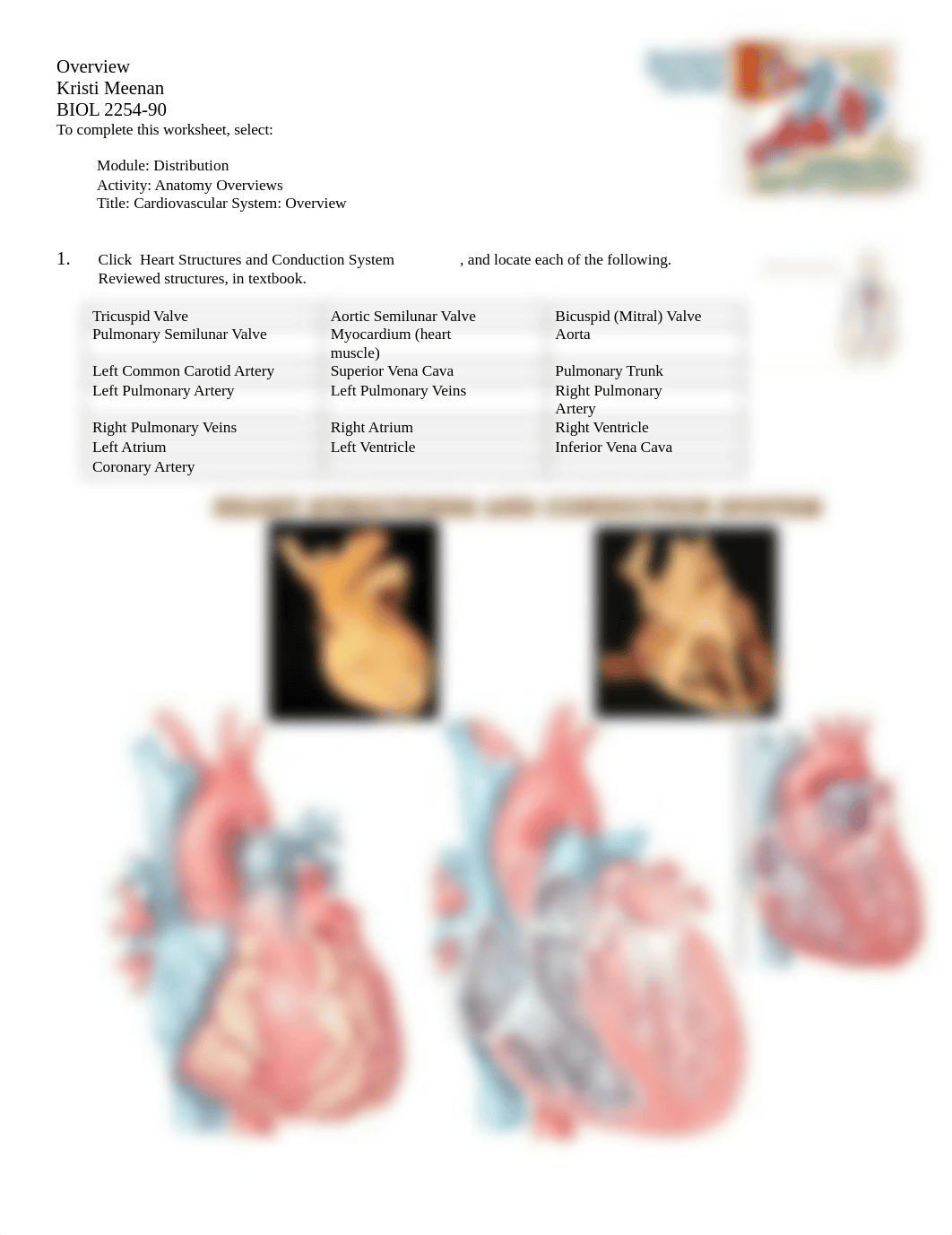 A&P chap 19.1_d3hpk4lmtsn_page1