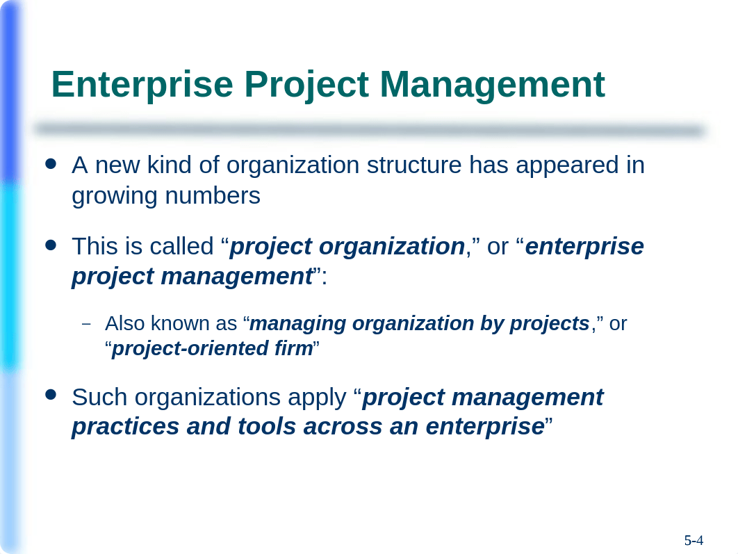 Ch05_The+Project+in+the+Organizational+Structure.ppt_d3hr0cnu84d_page4