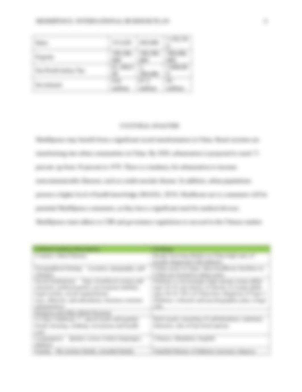 International Business Plan_10 7 22_Final Paper .doc_d3hvy8dvfwy_page4