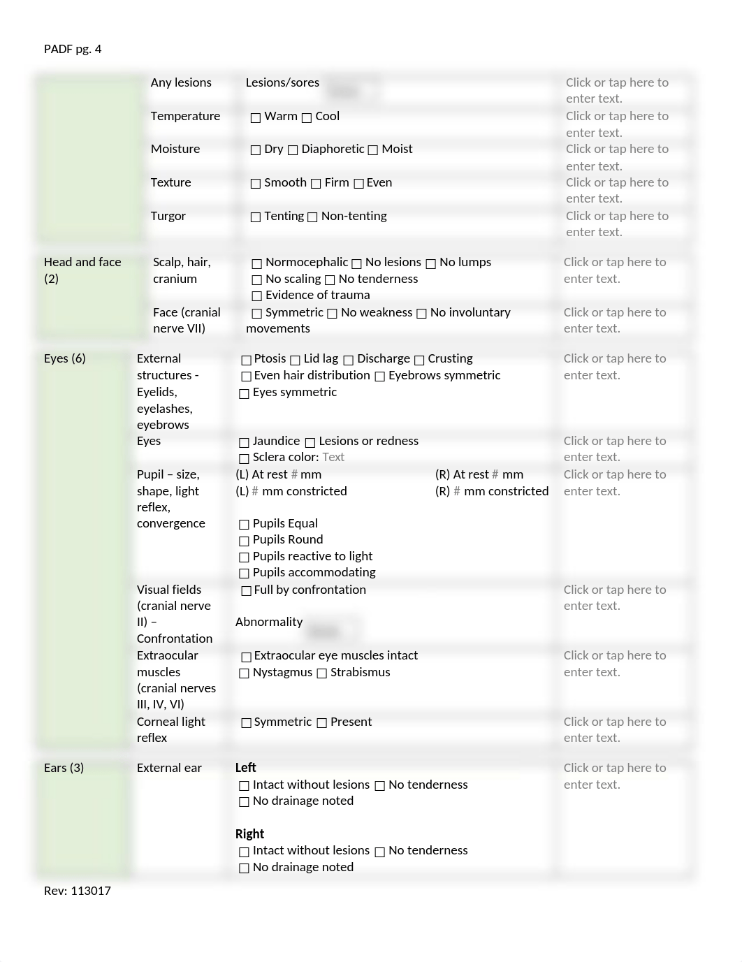 Physical Assessment Documentation Form (1).docx_d3hy0ppgiai_page4