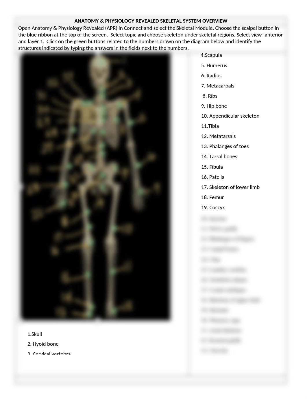 APR SKELETAL ANATOMY - OVERVIEW.docx_d3i418jyf2m_page1