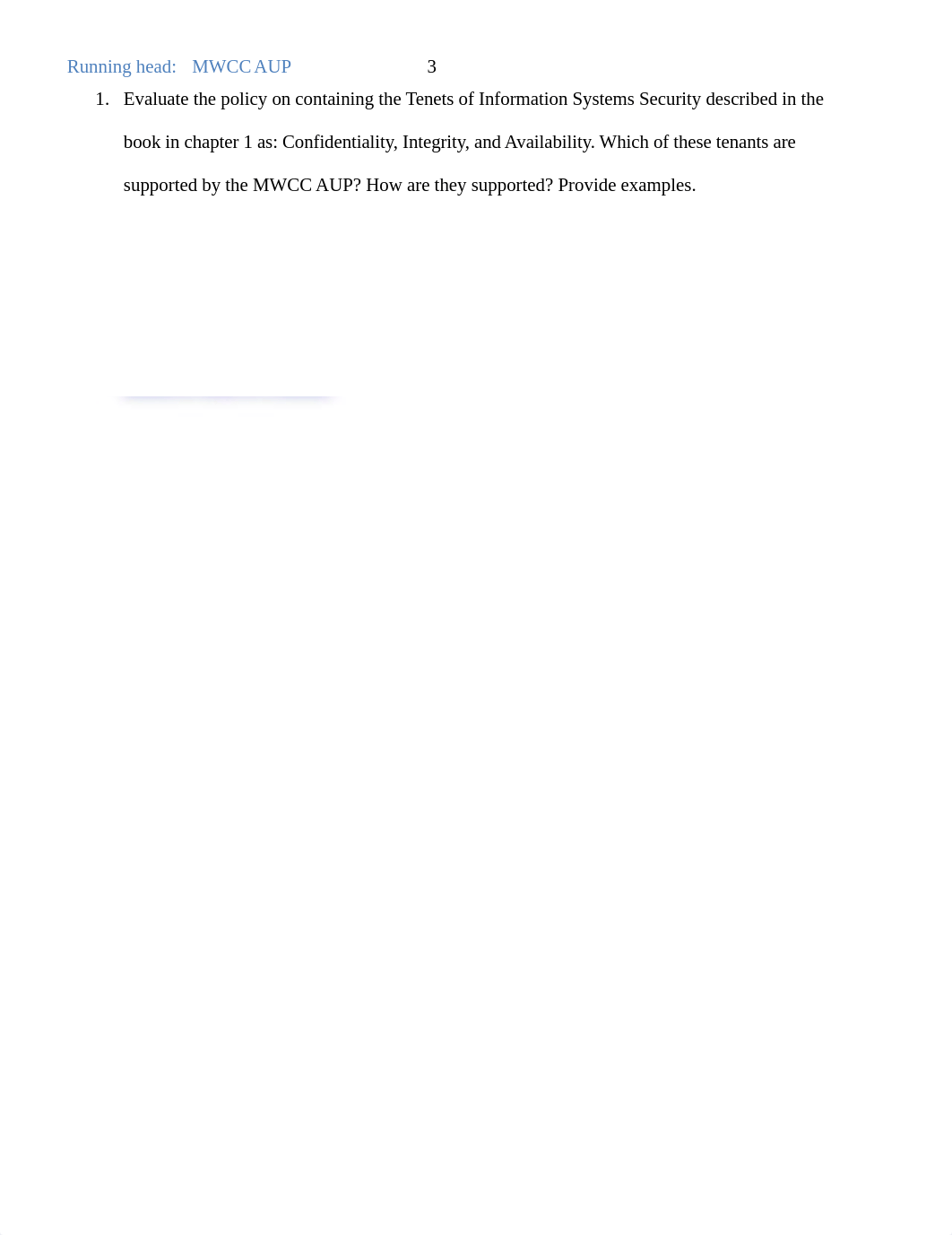 Acceptable Use Policy CIS219 Elisha Stratford_d3i6oazfptc_page3