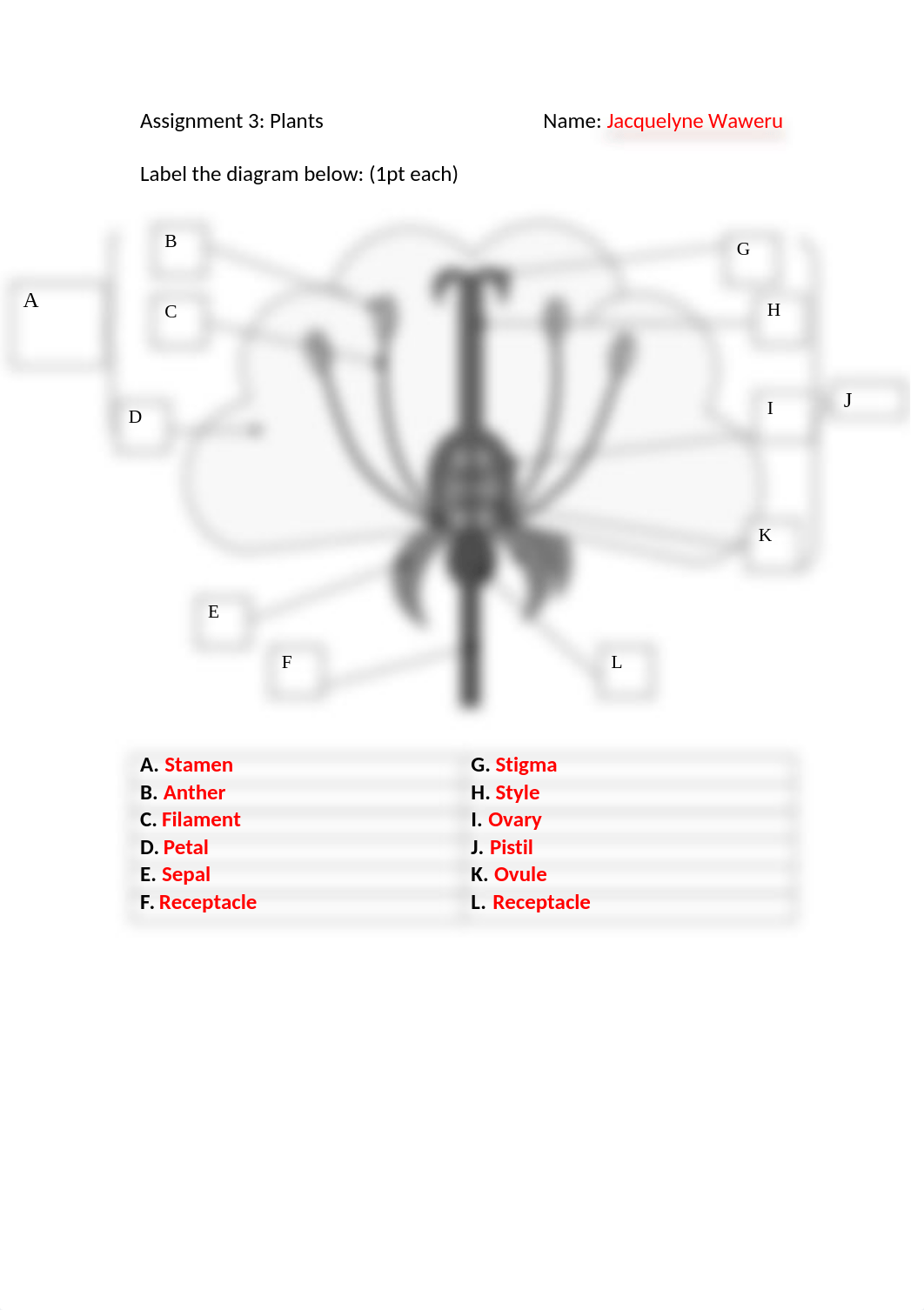 Assignment 4.doc_d3i7lpudf9w_page1