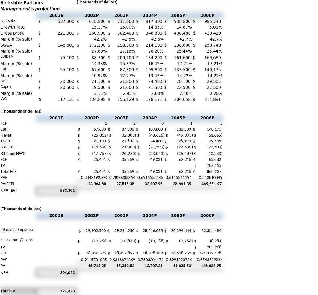 FINC 6290 Financial Strategy final project worksheet_d3ibi2idvr9_page1