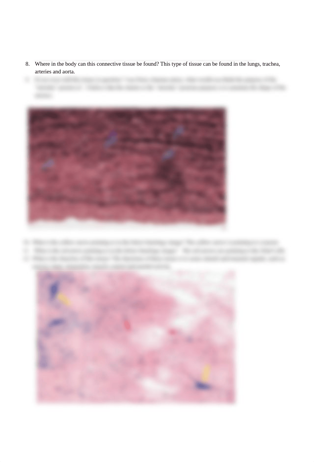 Histology Lab Assignment- Bio201.docx_d3igee4jsh6_page2