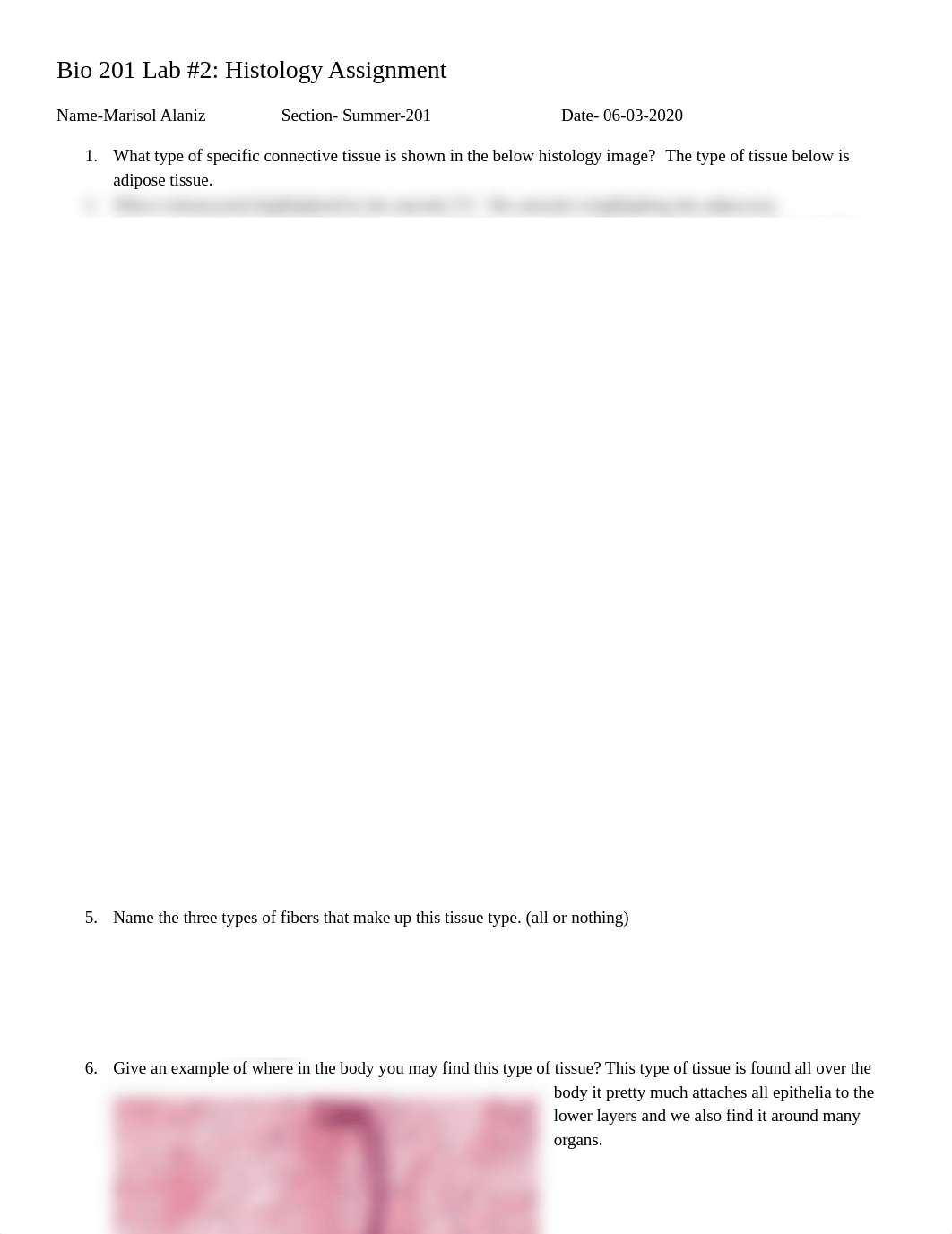 Histology Lab Assignment- Bio201.docx_d3igee4jsh6_page1