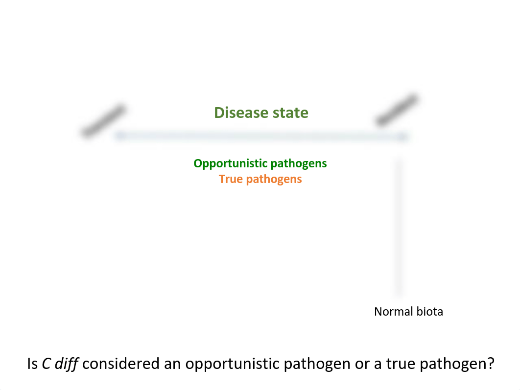 Intro to Infectious Disease.pdf_d3ii0rmvfgw_page3