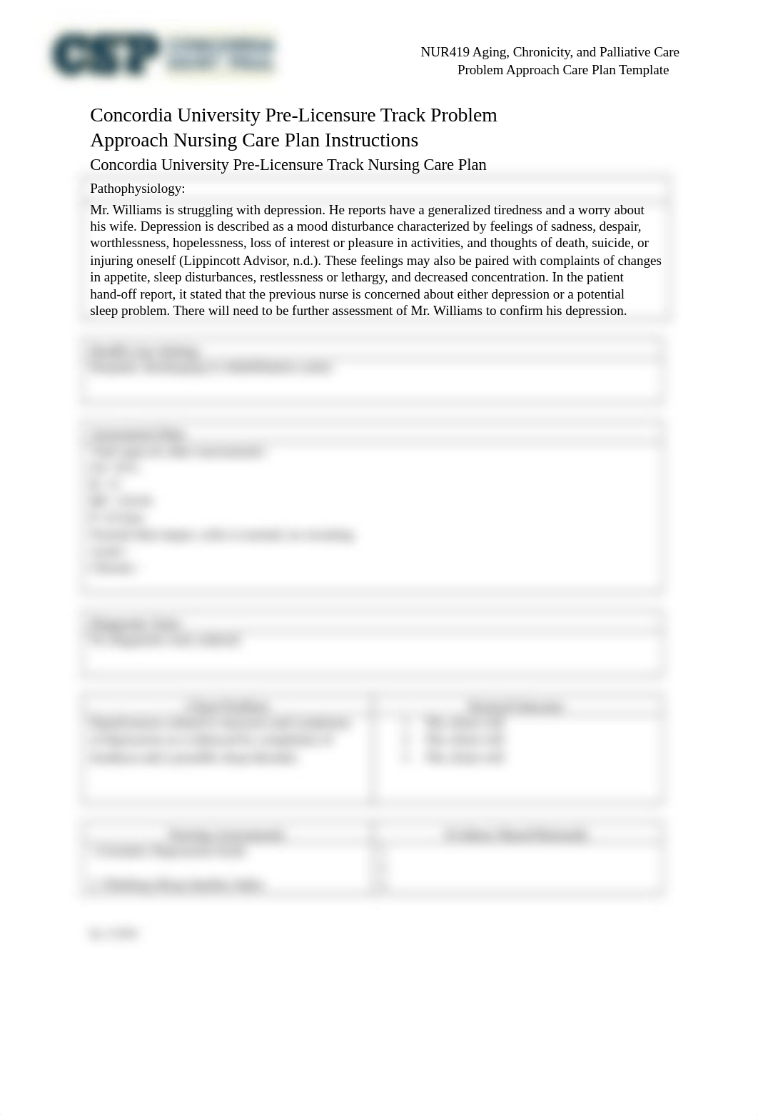 CSP Problem Approach Care Plan Template.docx_d3jctei52sr_page1