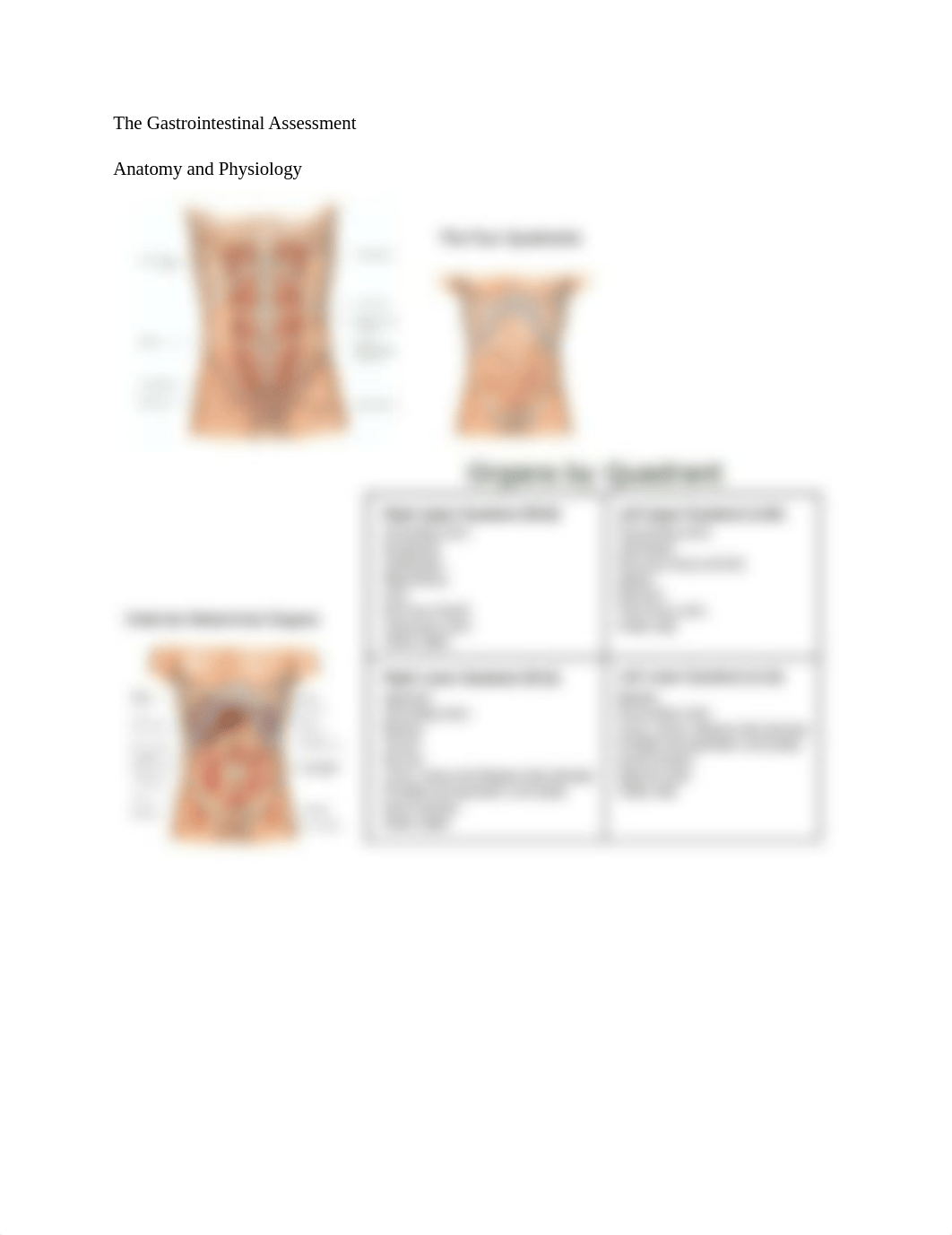 The Gastrointestinal Assessment.docx_d3jjqu34vw0_page1