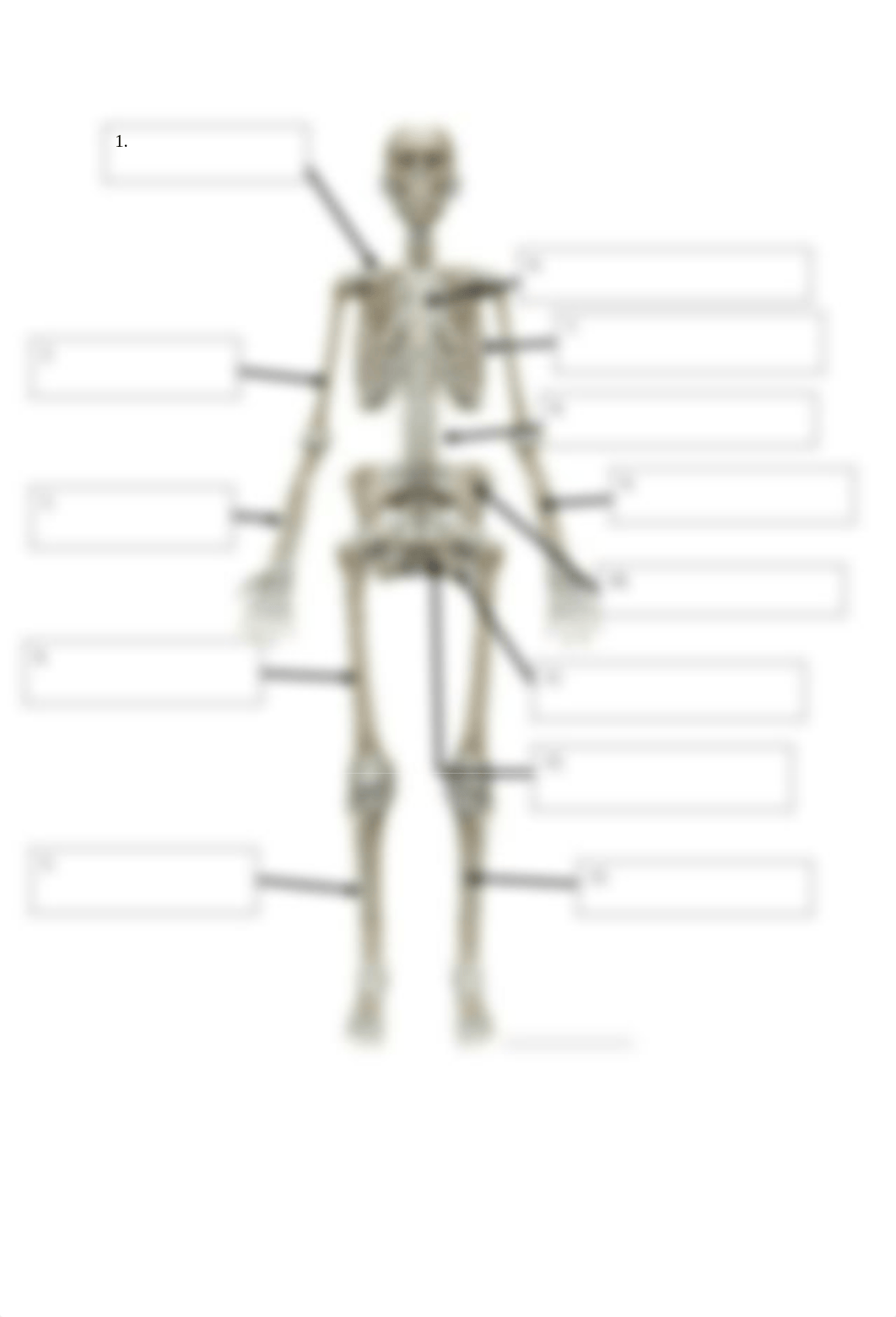 BIO 210 Lab 6 The Skeleton Complete.docx_d3jk1cdgu81_page3