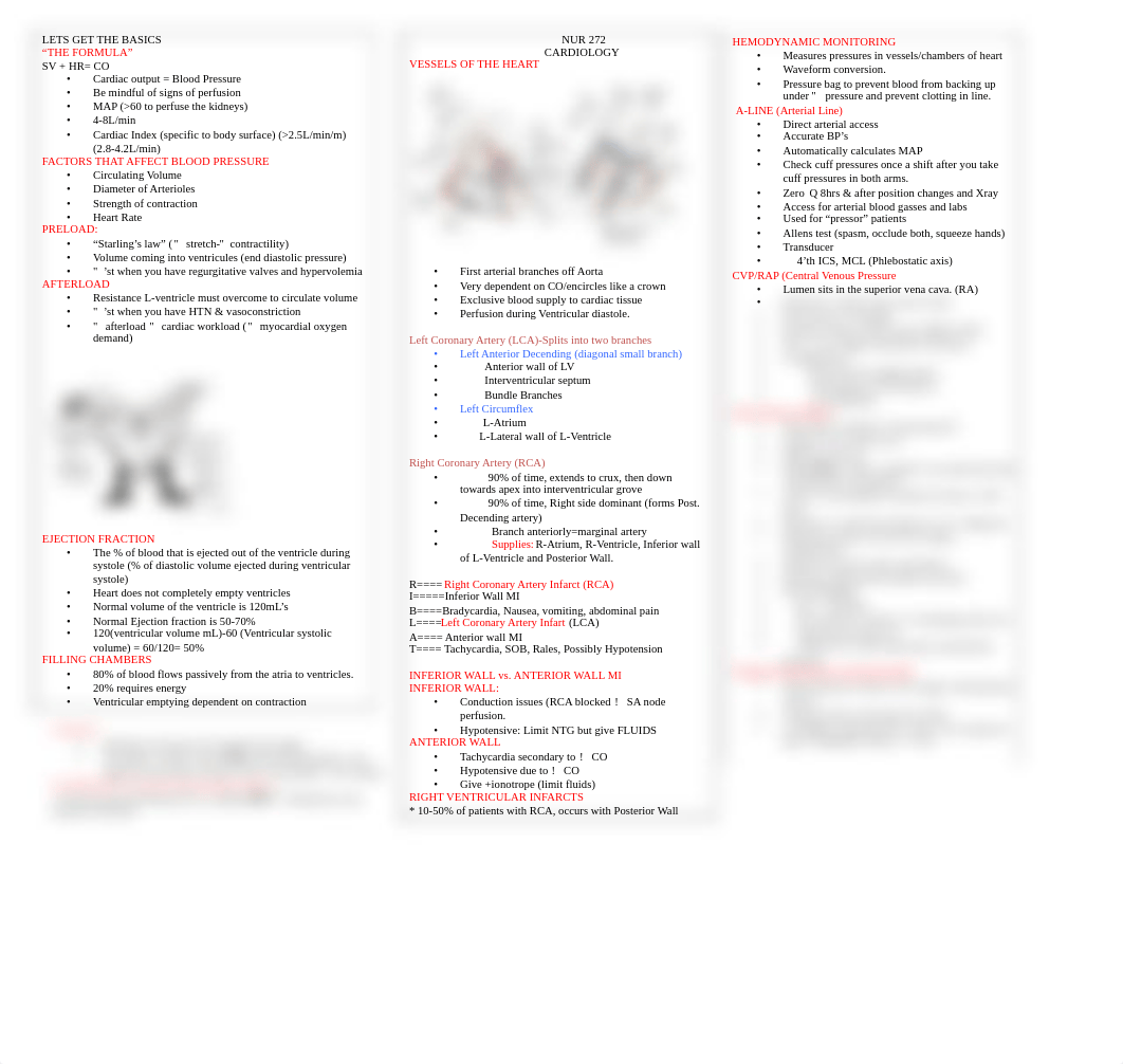 Cardiac Study Guide.pdf_d3jnluuhptj_page1