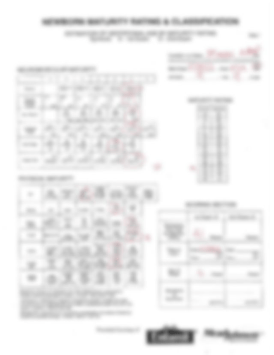 Meep Newborn Maturity Rating and Classification.pdf_d3jqcleeh3u_page1