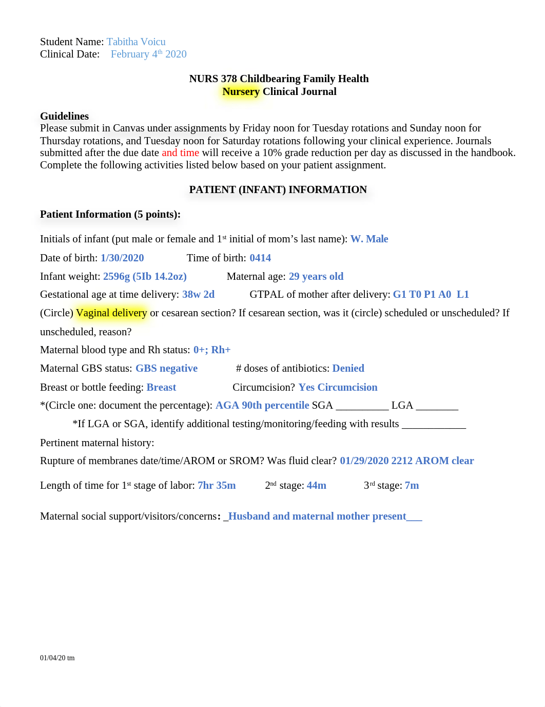 OB Nursery Clinical Journal with Rubric Sp20 TV-1.docx_d3jrvuhrno9_page1