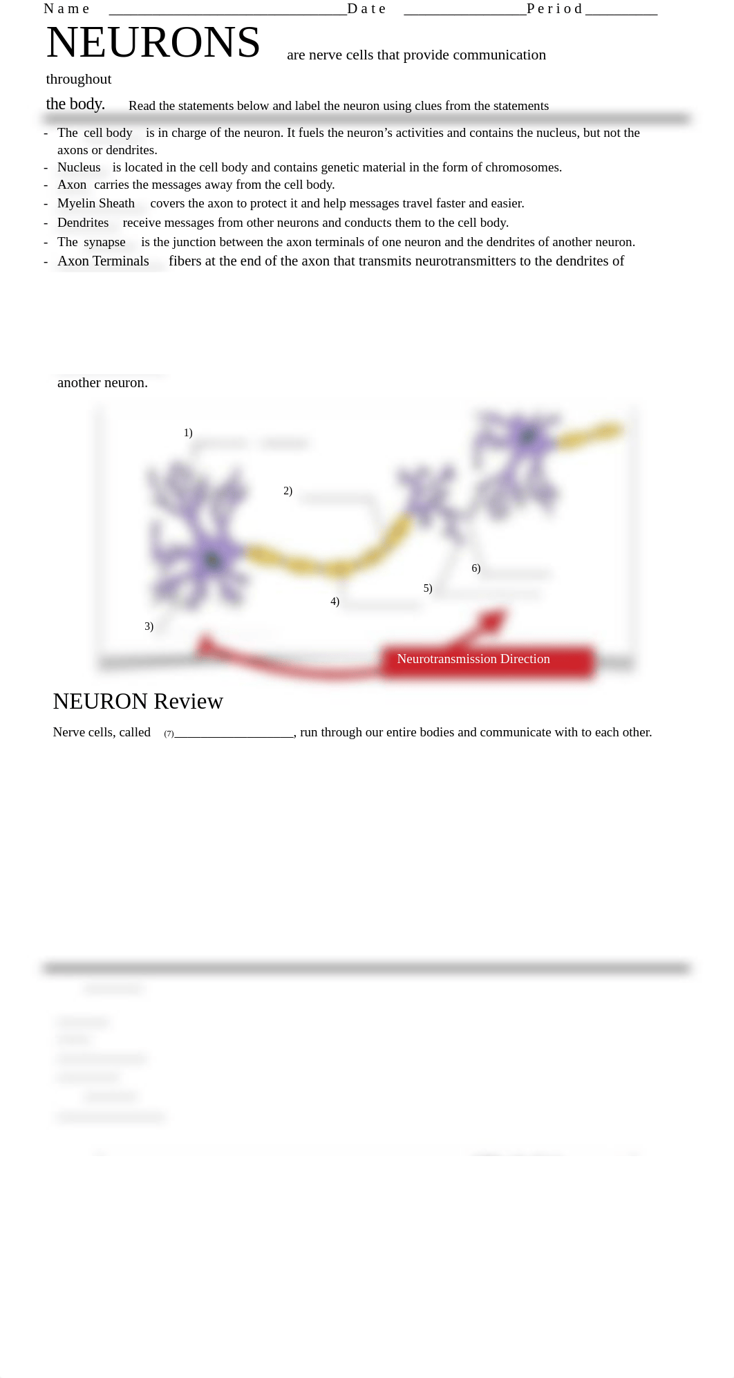 02B Anatomy of a Neuron-1.doc_d3jt2a88j4j_page1