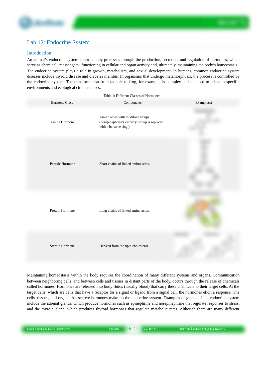 Lab_12__Endocrine_System.pdf_d3jwhxk0lka_page1