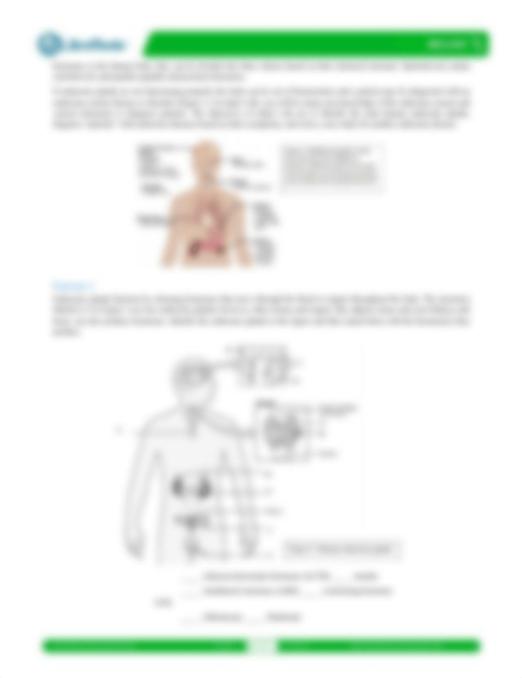 Lab_12__Endocrine_System.pdf_d3jwhxk0lka_page2