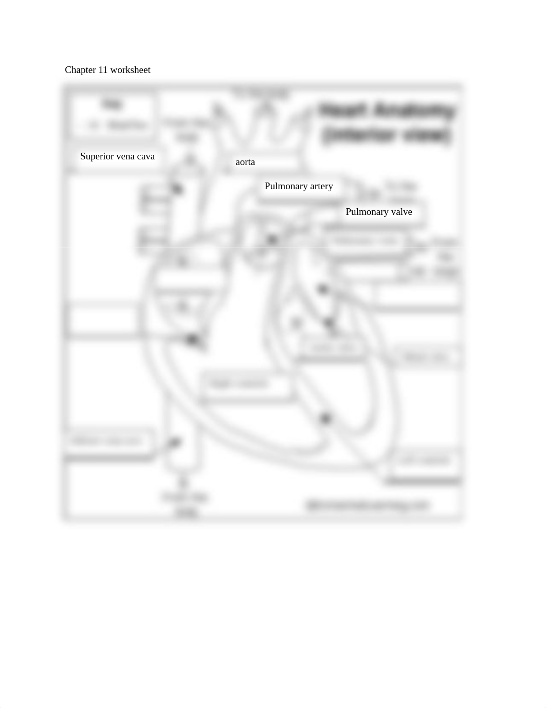 Chapter 11 worksheet.docx_d3jx0clsp1n_page1