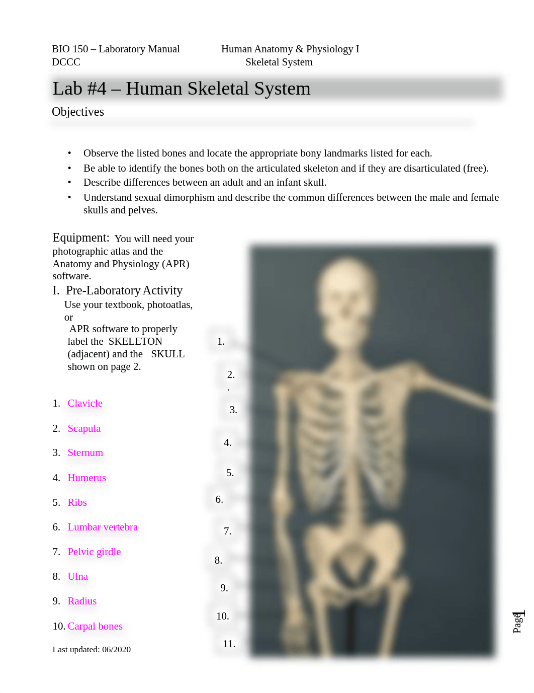 BIO 150 #4 Skeletal Lab Manual June 2020-1.docx_d3k0vj2vocf_page1