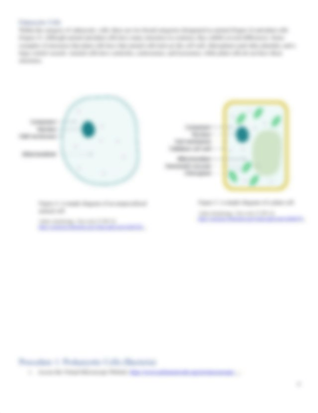 Cell Laboratory Handout.docx_d3k5m7w9gg0_page4