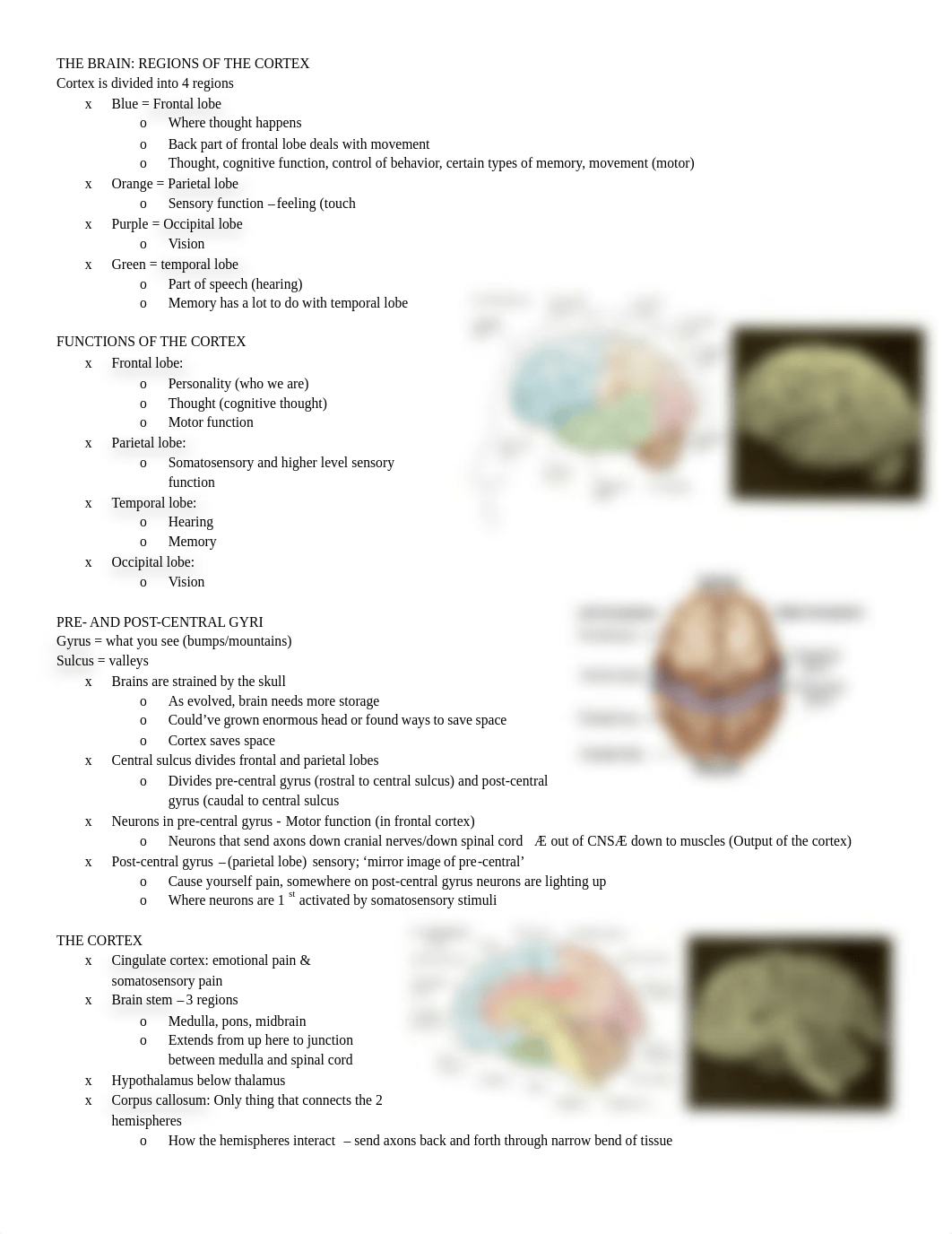 Neuro 1_d3k8bzncdu5_page2